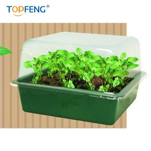 young plants plastic nursery pot