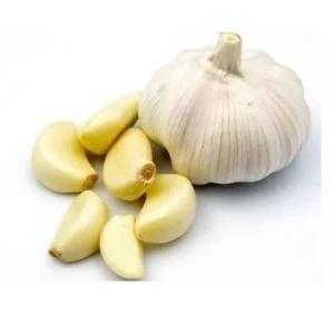 Bulk Fresh Garlic Exporter – High Aroma & Long Shelf Life