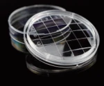 Petri Dishes1