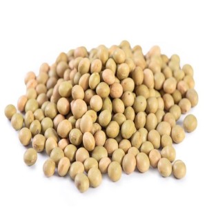 Best Selling Soy Bean Seeds Top Choice Soybeans Cheap Price Soya Beans