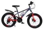 Versatile Chromoly Steel Gravel Bike, All-Road Commuter with Multi-Mounts & Mechanical Disc Brakes