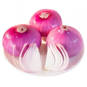 wholesale fresh red onions