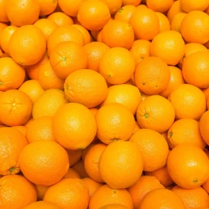 Juicy Oranges