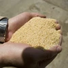 Organic Soybean Meal Animal Feed Soybean Meal Prices