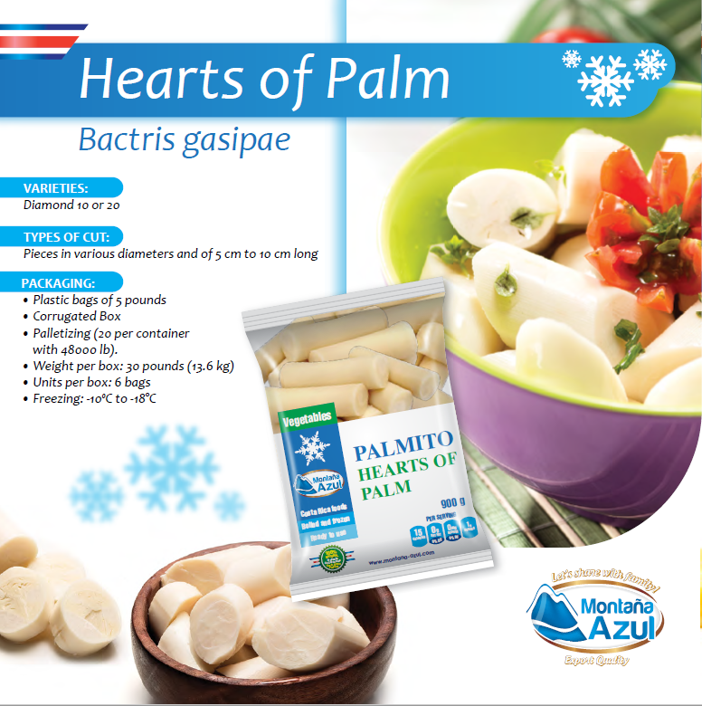 Buy Frozen Hearts Of Palm from S&SSA, Costa Rica