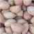 High Oleic Groundnut Indian Peanut kernels