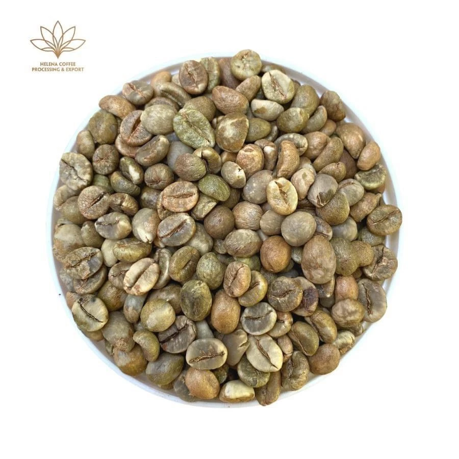Buy Green Coffee Beans from helenacoffee.vn, Vietnam