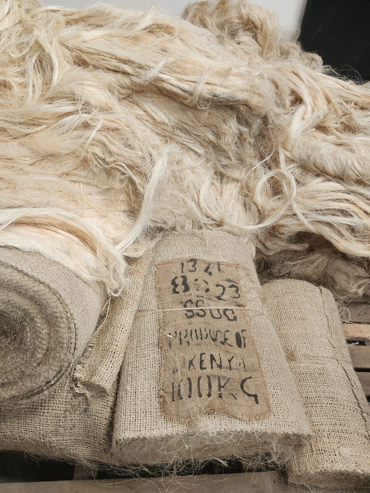 Buy Industrial-use Sisal Fiber – Combed And Dried from Ariwara Trading ...
