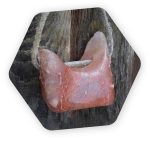 Animal lick