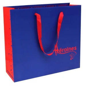 Luxury Shopping  Paper Bag with Logo
