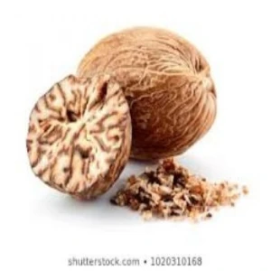 Nutmeg from Africa Best Quality