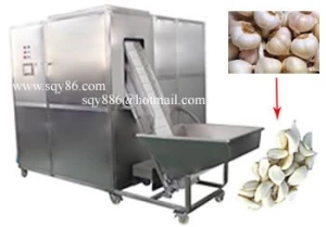 2020 New Updated Garlic Separating and Peeling Machine Full Automatic Garlic Peeling Machine