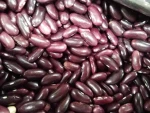Red kidney beans for sale