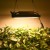 Import Hydroponic growing system from China