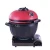 Import Innovative Indoor Outdoor Kitchen Ceramic Kamado grill from China