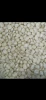 White Corn
