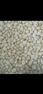 White Corn