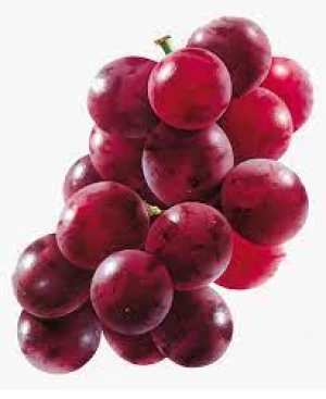 Muscadine  Grapes