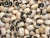 Import Brown/white quinoa, Castile bean, Pallar bebé from Peru