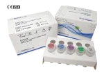 DiaPlexQ Novel Coronavirus (2019-nCoV) Detection Kit-IVD (Covid-19 test kit-South Korea)