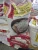 Import High Quality Long Grain Rice from USA