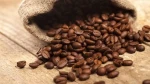 Roasted Coffee Beans