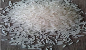 Sella Rice 1121