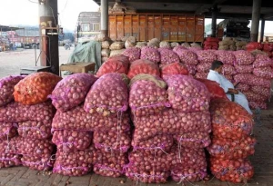 Affordable Fresh Red Onion, Yellow and White Onion for Sale