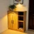 Import Shoe Cabinet from China