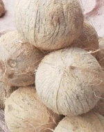 Fresh Coconut