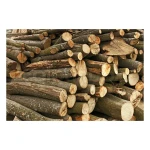 Premium Hornbeam Logs Bulk Supply High Quality Hardwood Export Grade Material