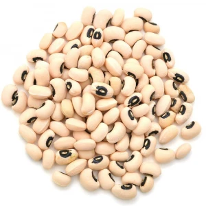 New crop black eye bean/white cowpea bean for sale