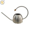 1 L Silver-color Metal Water Can,Garden Watering can for Kid, Watering can for Home Decor with Handle