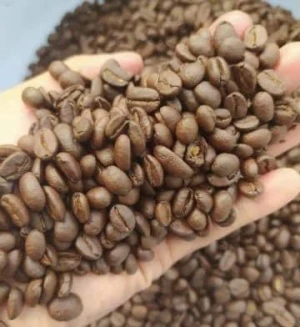100% Maturity Rustic Roasted Robusta Coffee Bean 500g in Zipper Bag Packaging