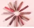 Import 12 Colors nude vegan cosmetic lipstick wholesale cute pink lip stick long lasting waterproof sexy red matte lipstick from China