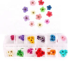 12 Colours Nail 3D Art Dried Dry Flowers Wheel Gel False Nails Box-sized dried flowers 36 60 multi-format nail art accessories