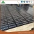 Import 18mm Finger Jointer Core Film Faced Plywood for Middle Easte from China