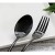 Import 20-Piece Black Silverware Set Stainless Steel Flatware Cutlery Set Service for 4 Mirror Polished Dinner Knives/Spoon Black Color from China