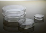 200mm disposable glass sterile petri dishes