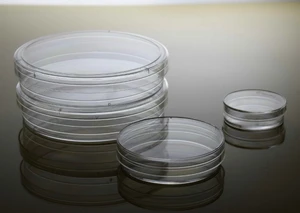 200mm disposable glass sterile petri dishes