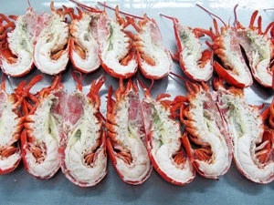 2017 new arrival frozen whole cooked lobster