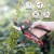 Import 2019 hot selling 8in Bypass Pruner from China