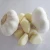 2020 New Crop Good Quality Fresh Garlic