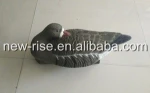 22 26 Specklebelly Sleeping Goose