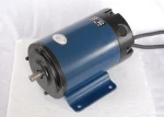 250w 500w Waterproof 12v electric brushed dc motor 5Nm