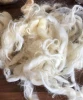 30/33mic washed and scoured wool fiber use for carpet