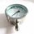 Import 304 stainless steel thread M20*1.5 flange DN25 optional dial 150mm Shockproof pressure gauge from China