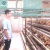 Import 3tiers 4tiers layer chicken egg cage battery cages for chicken farm from China