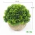 Import 4 Pcs  Set Mini Artificial Potted Plants Small Artificial Plants For Office Desk Decoration from China