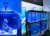 40W Saltwater Aquarium Light Seawater Aquarium LED Lighting Coral Reef Full Spectrum IR Remote Control RGB Aquarium Light